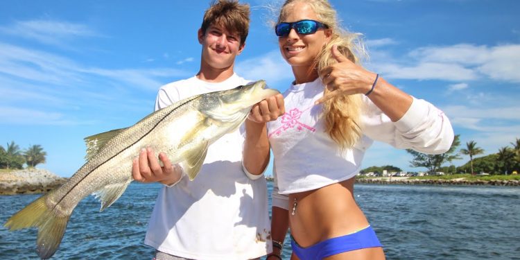 Shark vs. Teenager Tug-O-War and Drone Snook Video