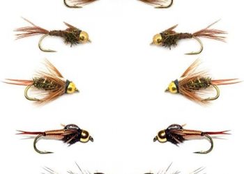 The Fly Fishing Place Basics Collection – Bead Head Nymph Assortment – 10 Wet Flies – 5 Patterns – Hook Sizes 12, 14, 16