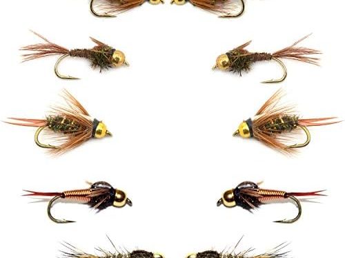 The Fly Fishing Place Basics Collection – Bead Head Nymph Assortment – 10 Wet Flies – 5 Patterns – Hook Sizes 12, 14, 16