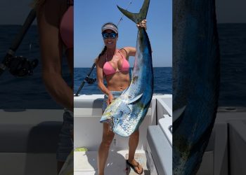 The colors on this fish 🤩 #fishingwithluiza #fishing #mahi #goodvibes