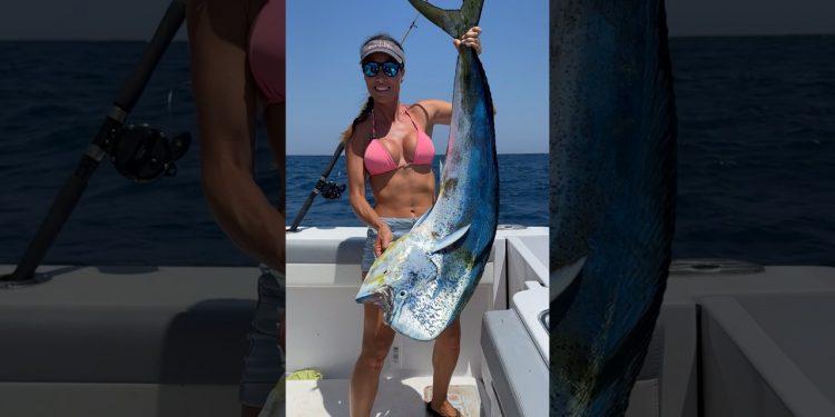 The colors on this fish 🤩 #fishingwithluiza #fishing #mahi #goodvibes