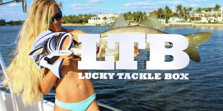 Beginner Introduction, How To Catch Your First Inshore Saltwater Fish