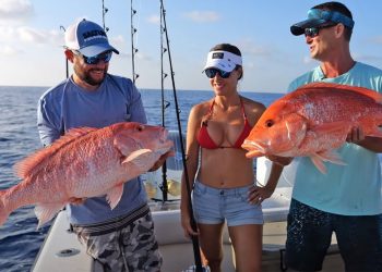 DEEP DROPPING Pully Ridge Part 1 – Livin the Dream TV