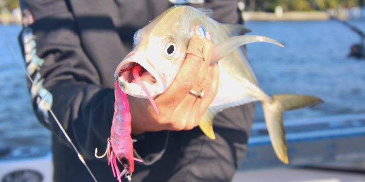 Fishing Girl How To: Trout Trailer