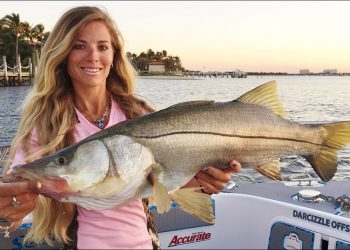 Florida Saltwater Inshore Shark & Snook Fishing Video