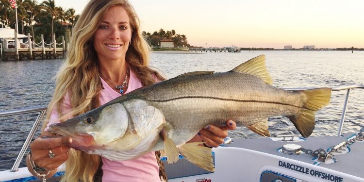Florida Saltwater Inshore Shark & Snook Fishing Video