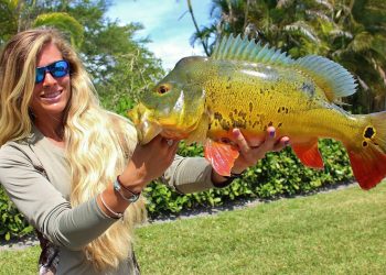 Girl Catching Big Florida Freshwater Peacock Bass