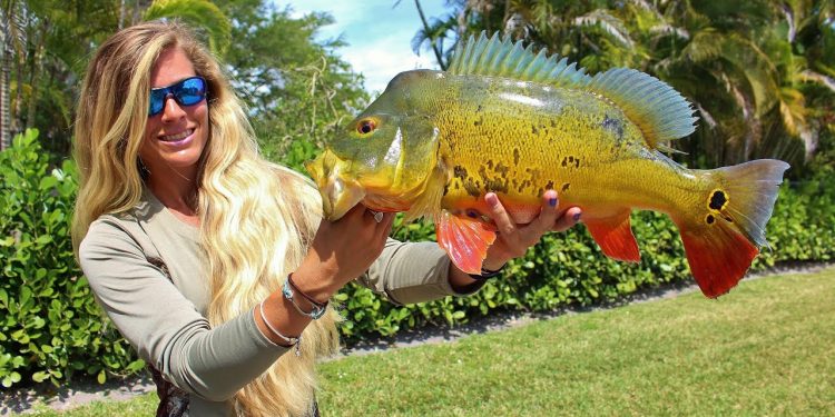 Girl Catching Big Florida Freshwater Peacock Bass
