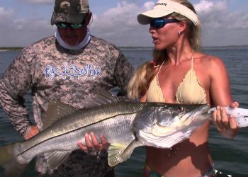 How To Inshore Saltwater Fishing: ZMan Scented Shrimp soft plastic