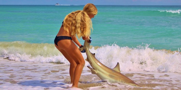 How to Catch Sharks Fishing from the Beach with tips and tricks