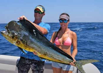 MAHI, Marlin & Diving in El Salvador – Livin the Dream