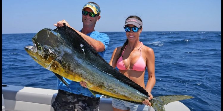 MAHI, Marlin & Diving in El Salvador – Livin the Dream