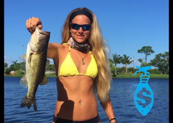 $1000.00 Darcizzle Holiday Bass Spectacular!