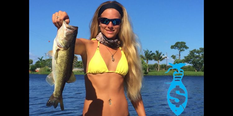 $1000.00 Darcizzle Holiday Bass Spectacular!