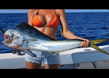 El Salvador Offshore MAHI FISHING  – Livin’ the Dream TV