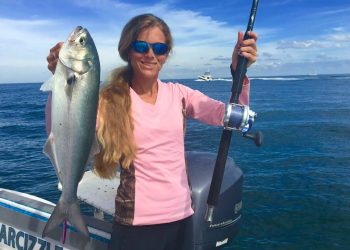 Fish How To: Strike Pro Flex X Hard Plastic Swim Bait