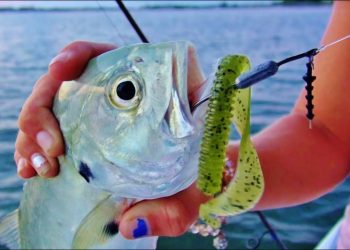 Fishing HOW TO: MUSTAD Power Lock Worm Hook
