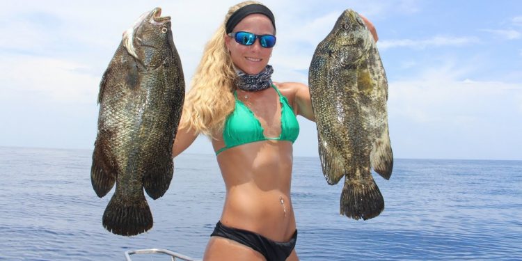 Florida Offshore Fishing for Mahi & Big Tripletails Video