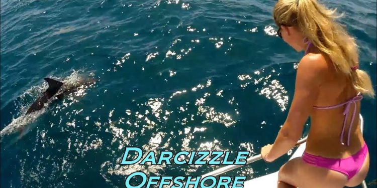Amazing Offshore Boating with Porpoises GoPro Video