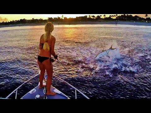 Best Fishing the Mullet Run For Jumping Florida Tarpon Video