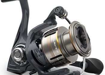 Cadence Lux Spinning Fishing Reels – Ultra Smooth Powerful Spinning Reel with 9+1 Shielded BB, Lightweight Carbon Fiber Frame, 36LBs Max Drag, 5.2:1-6.2:1 High Speed Gear Ratio & Braid-Ready Spool