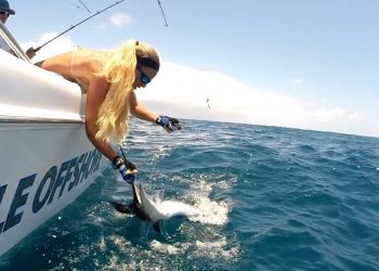 Fishing HOW TO: Mustad Circle Hook