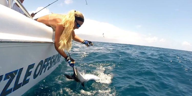 Fishing HOW TO: Mustad Circle Hook