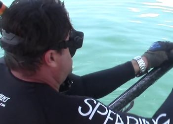 Florida Gulf Spear Fishing & Diving