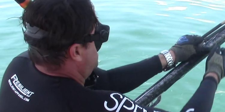 Florida Gulf Spear Fishing & Diving