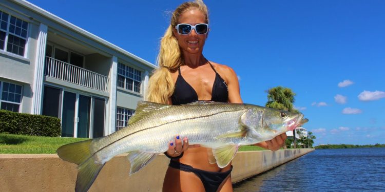 Florida Inshore Snook Fishing: My First Slot