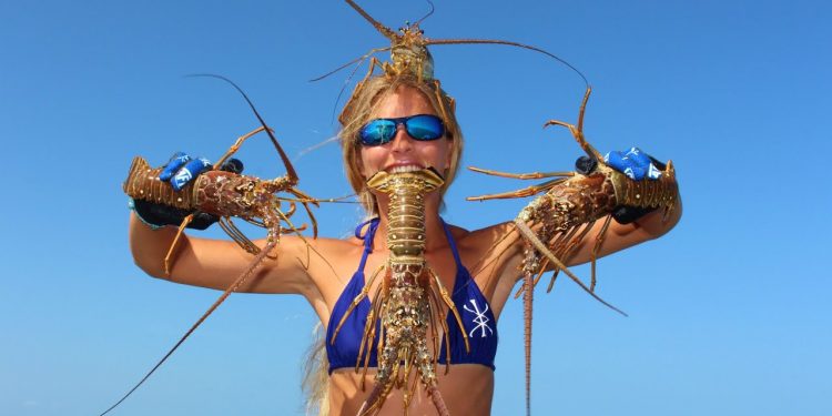 Florida Lobster: HOW TO Catch, Clean & Cook!