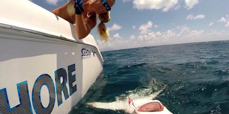 Girl catches Florida Dolphin, Sailfish and Big SHARK