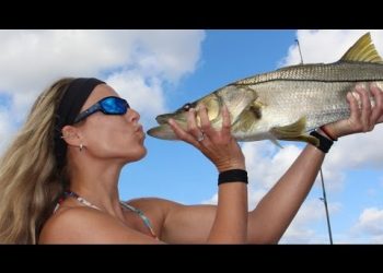 My Favorite Inshore Saltwater Best Fishing Lure