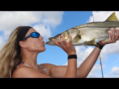 My Favorite Inshore Saltwater Best Fishing Lure