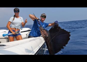 SAILFISH Madness ! Part 1