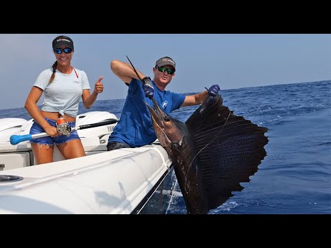 SAILFISH Madness ! Part 1