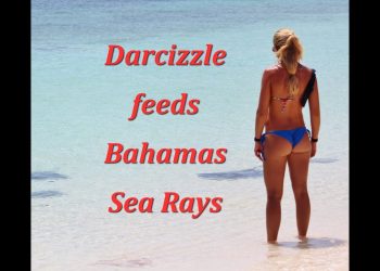 Beautiful Bahamas Bikini Girl Feeding Rays GoPro Video