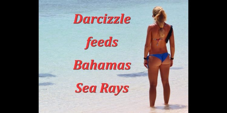 Beautiful Bahamas Bikini Girl Feeding Rays GoPro Video