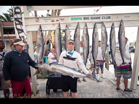 Big Bahamas Wahoo Fishing GoPro Video