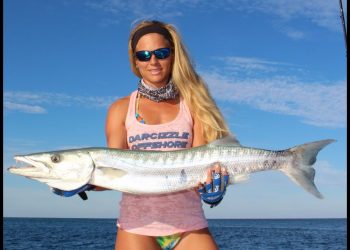 Big Florida Barracuda Caught Boat Fishing Video