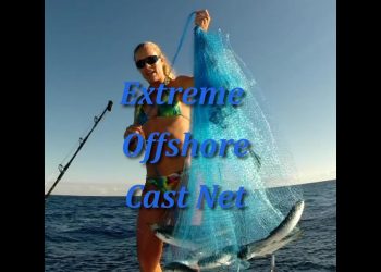 Big Mullet Offshore Fishing GOPRO Video Clip