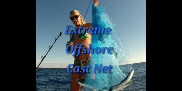 Big Mullet Offshore Fishing GOPRO Video Clip