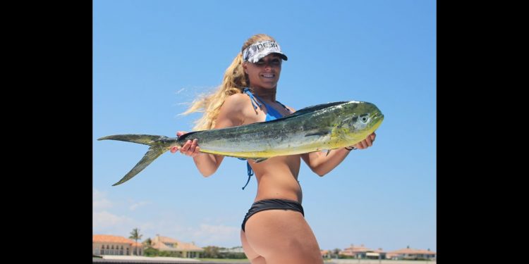Fishing Girl: Mahi, Tuna and rare deep sea mullet bait pod