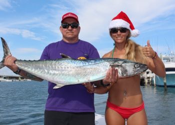 How To Fishing: Kingfish Rig with Live Bait Stinger GoPro Video