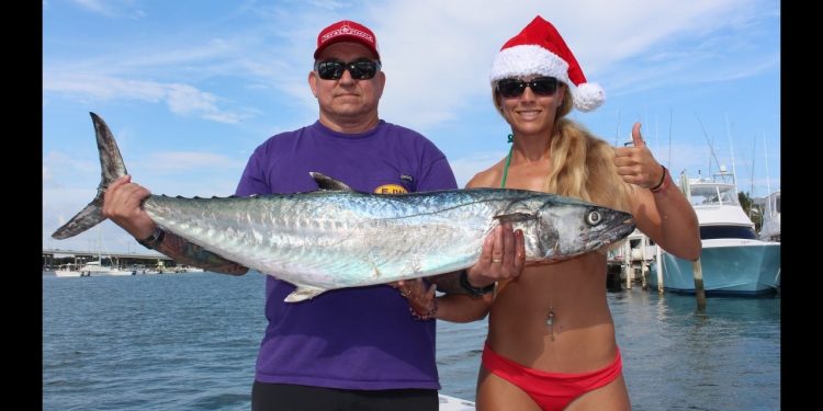 How To Fishing: Kingfish Rig with Live Bait Stinger GoPro Video