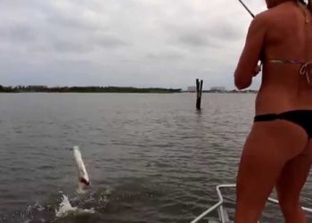 Inshore Florida Aerial TARPON Fishing
