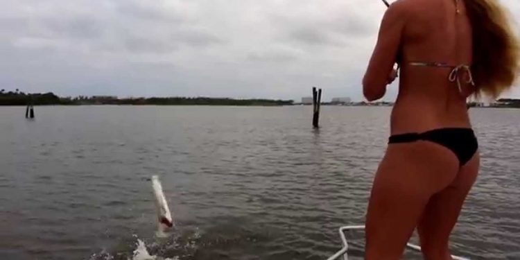 Inshore Florida Aerial TARPON Fishing