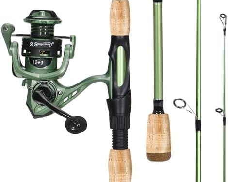 Sougayilang Fishing Rod Reel Combos, Graphite 2Pc Blanks Fishing Pole with Casting & Spinning Reel, Stainless Steel Guides