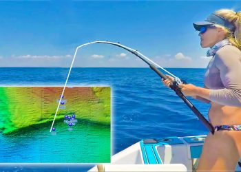 160 Foot Underwater CLIFF! Girl Drops Baits on Florida’s Biggest Ledge and Caught This!
