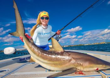 2 HOURS of Non-Stop Action! The BEST Florida Shark Fishing Videos (Shark Week Danger Special!)